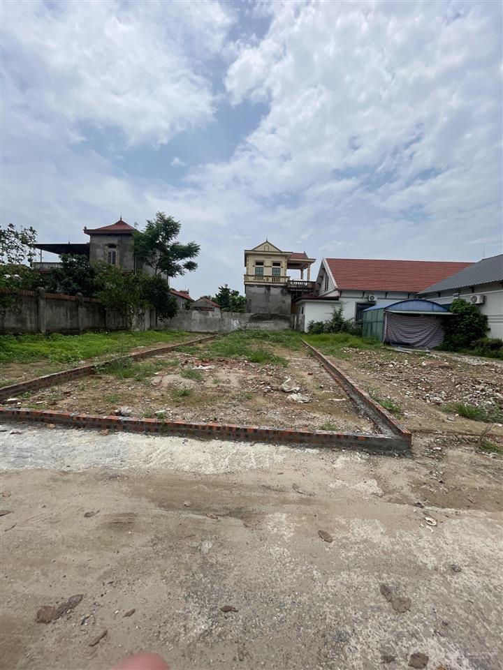 Bán lô đất 100m2 tại thái lai kim anh hà nội