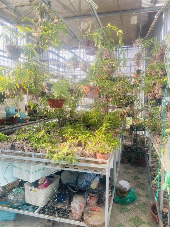 Nhà tôn đức thắng lô góc thang máy ô tô đỗ ngày đêm 8 tầng