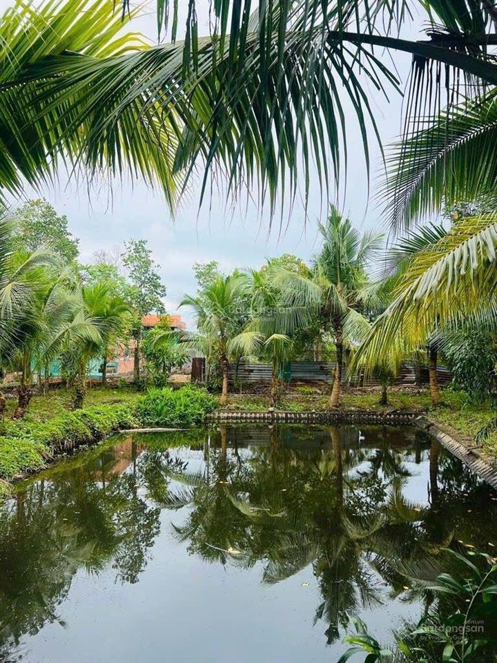 Đất vườn 1.509 m2, có 300m thổ, 20x75m, giá 8.9 tỷ, đường xe tải, cách xã bình chánh 2 km