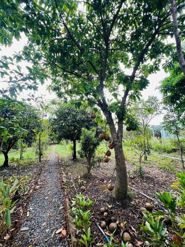 Đất vườn 1.509 m2, có 300m thổ, 20x75m, giá 8.9 tỷ, đường xe tải, cách xã bình chánh 2 km