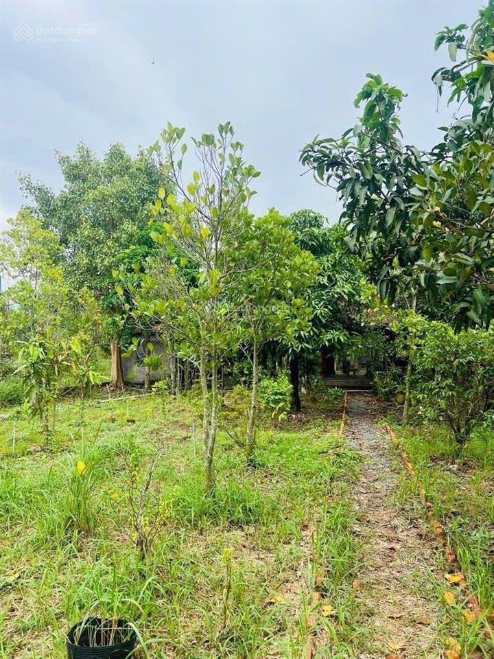 Đất vườn 1.509 m2, có 300m thổ, 20x75m, giá 8.9 tỷ, đường xe tải, cách xã bình chánh 2 km