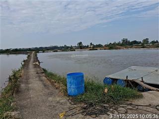 Bán đất nằm trong khu hầm nuôi cá gần nhà máy nước vinh hanh, châu thành, an giang