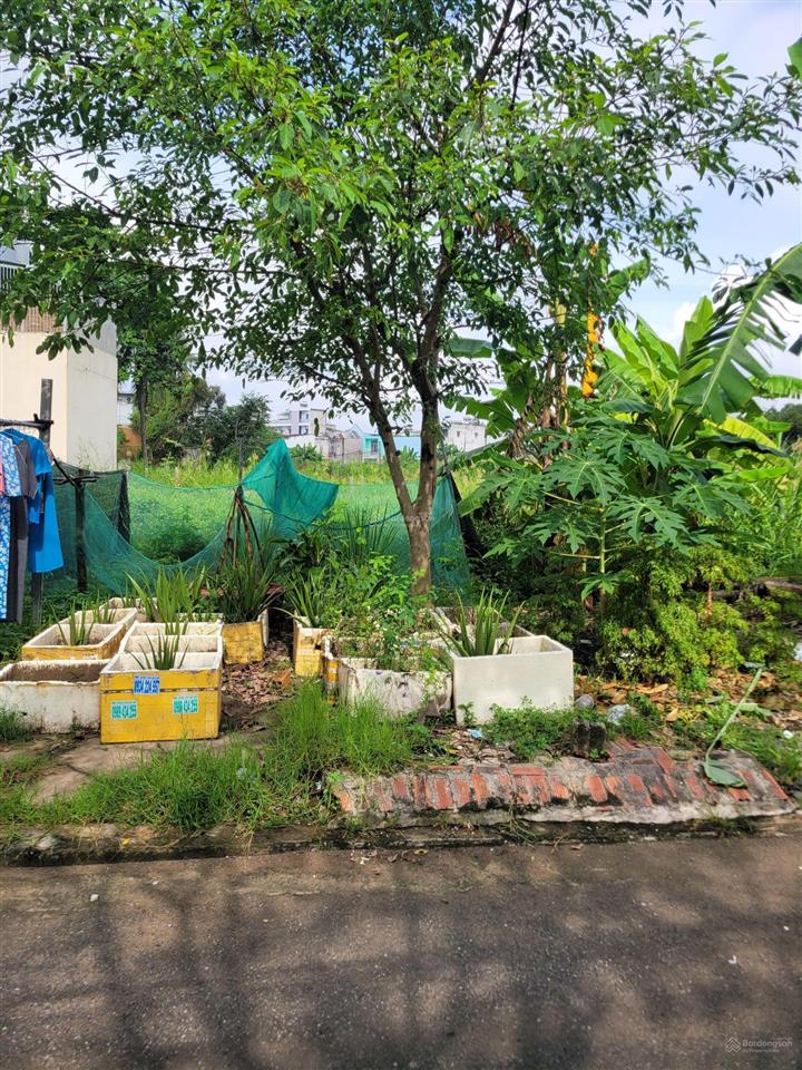 Bán đất đường số 6, phường long trường. 80,2 m² ngang 5,1m. giá 4,6 tỷ