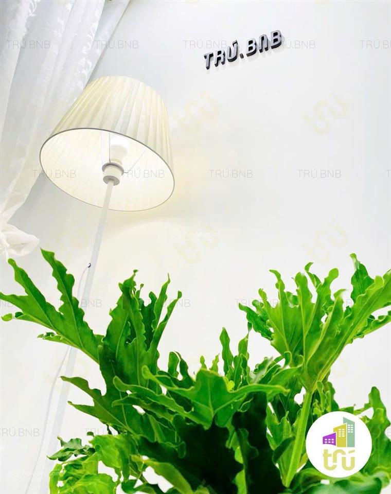 Cho thuê căn hộ vinhomes grand park quận 9