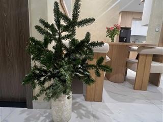 Bán gấp cc the beverly, 5,5 tỷ, 80m2, 2pn, 2wc tại nguyễn xiển, q9, hcm