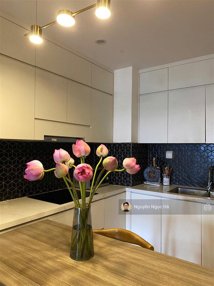 Cho thuê căn hộ 3pn, 10 triệu, tại hateco hoàng mai, 90 m2, đầy đủ nội thất đẹp