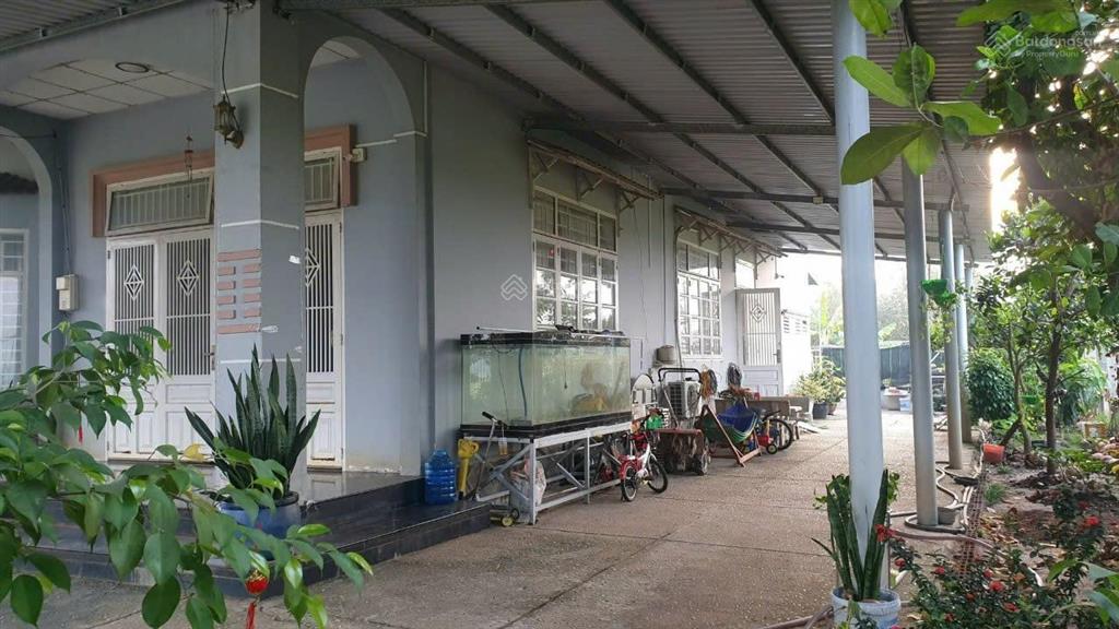 Chính chủ cho thuê nhà, đất rộng 1.306m² tại phước thạnh, củ chi