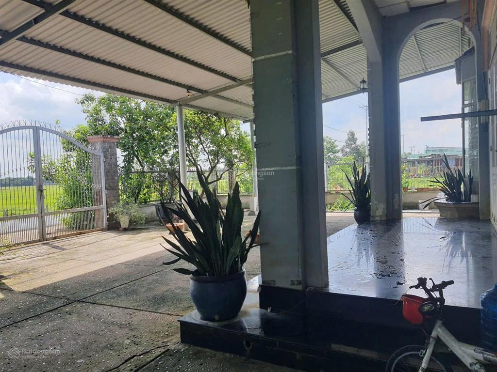 Chính chủ cho thuê nhà, đất rộng 1.306m² tại phước thạnh, củ chi