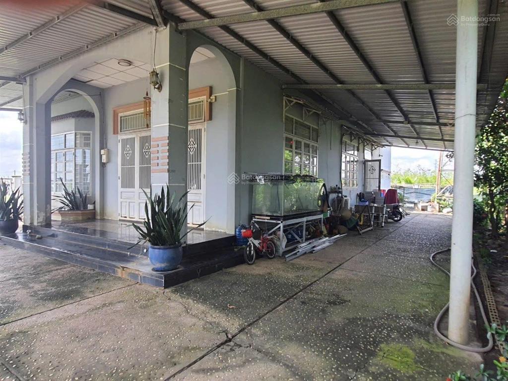 Chính chủ cho thuê nhà, đất rộng 1.306m² tại phước thạnh, củ chi