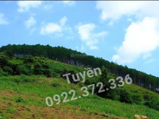 Bán gấp 1080m2 đất giáp suối ngay trung tâm nam ban sát trục dt725 giá 2ty3 (còn tl)