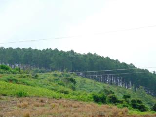 Bán gấp 2 sổ đất 500m2, mặt tiền rộng 10m gần sân bay liên khương  giá chỉ 780tr/sổ