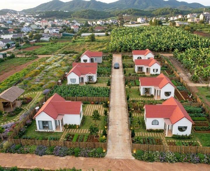 Bán gấp sổ đất tại tt nam bangiáp p.cam ly đl và gần sân bay liên khươnggiá tốt chỉ 1ty050/349m2