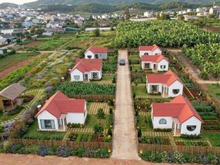 Bán gấp sổ đất tại tt nam bangiáp p.cam ly đl và gần sân bay liên khươnggiá tốt chỉ 1ty050/349m2