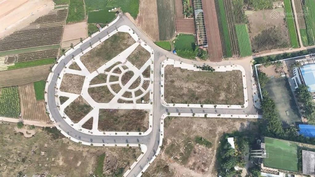 Đất đấu giá x1 đông cao ,tráng việt ,mê linh 40 lô đất vừa được đấu , đất vàng mê linh kinh doanh