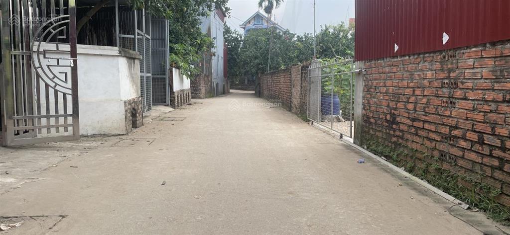 Tráng việt, mê linh hà nội đất sổ đỏ full thổ cư, dt, 80m2, mt, 6,67m, đường ô tô vào tận đất