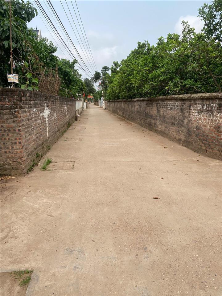 Tráng việt, mê linh hà nội đất sổ đỏ full thổ cư, dt 103,6m2, mt 4.98m đường 2 ôtô tránh cơ hội tốt