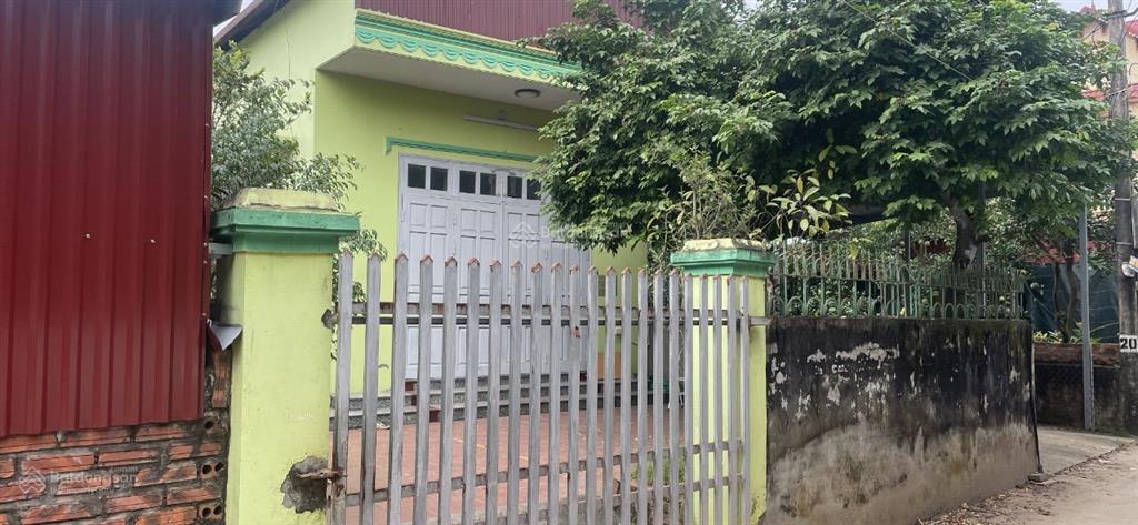 Tráng việt, mê linh hà nội đất sổ đỏ full thổ cư, dt, 80m2, mt, 6,67m, đường ô tô vào tận đất
