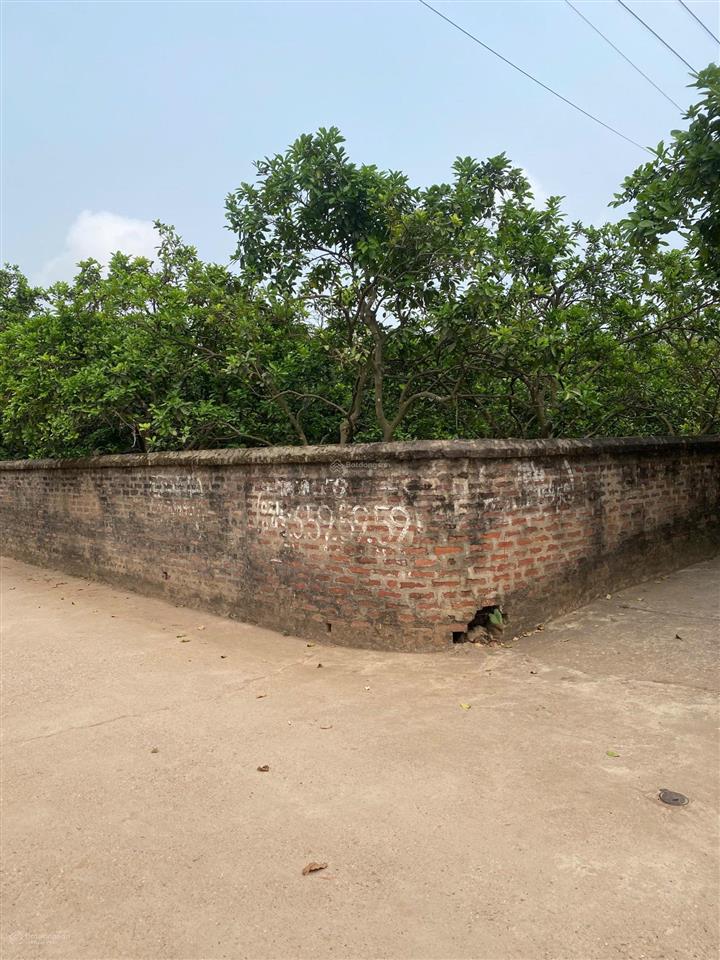 Tráng việt, mê linh hà nội đất sổ đỏ full thổ cư, dt 103,6m2, mt 4.98m đường 2 ôtô tránh cơ hội tốt