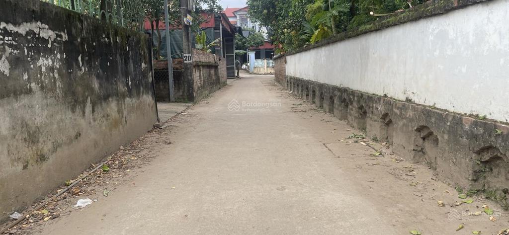 Tráng việt, mê linh hà nội đất sổ đỏ full thổ cư, dt, 80m2, mt, 6,67m, đường ô tô vào tận đất