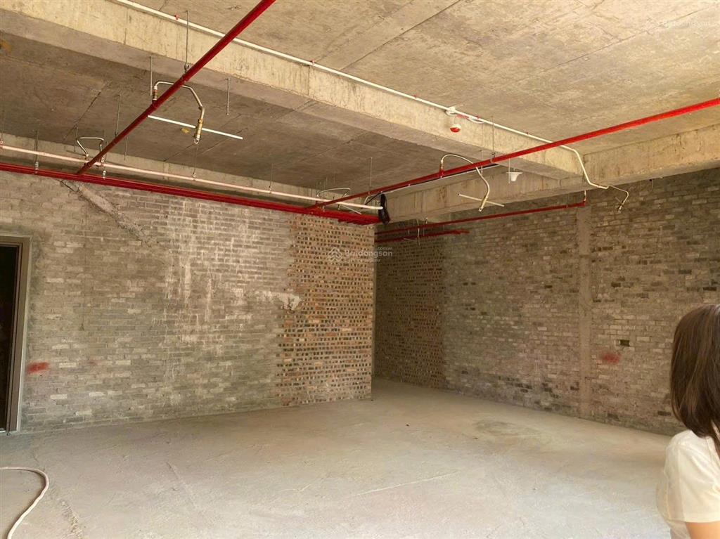 Biệt thự hiếm tt bồ đề  ô tô thông  mt rộng  thiết kế biệt thự cổ