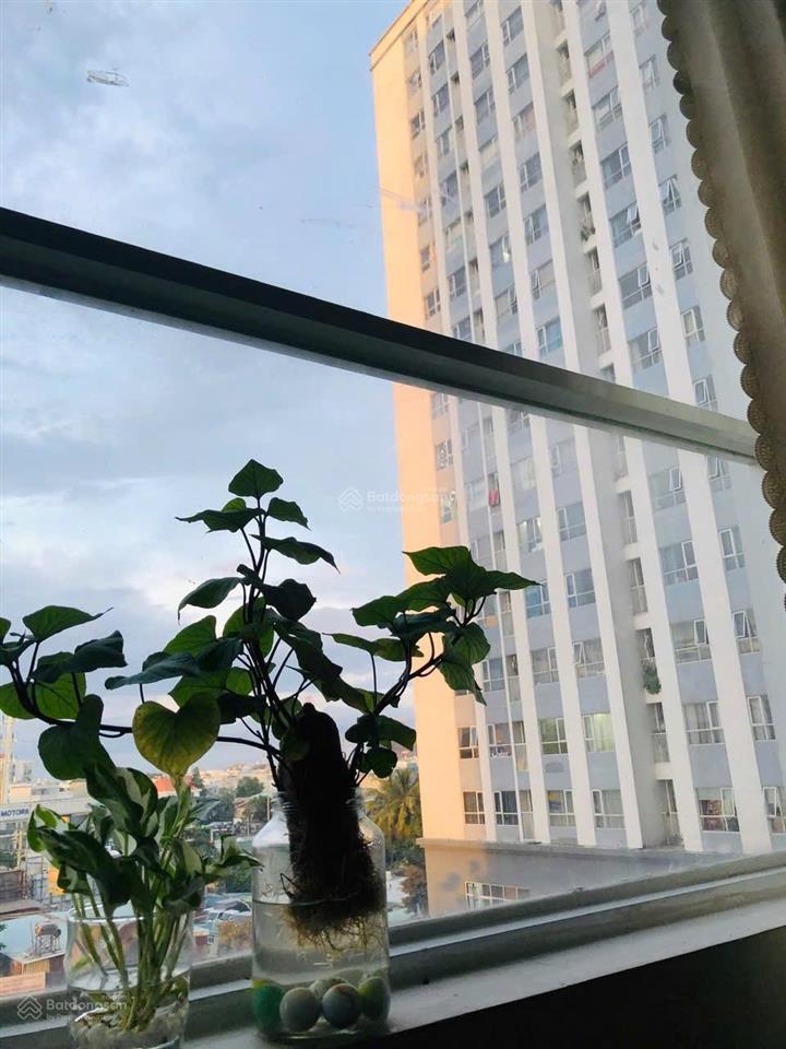 E cần bán căn zen tower nhà xã hội đã có sổ 1 pn 1 wc.