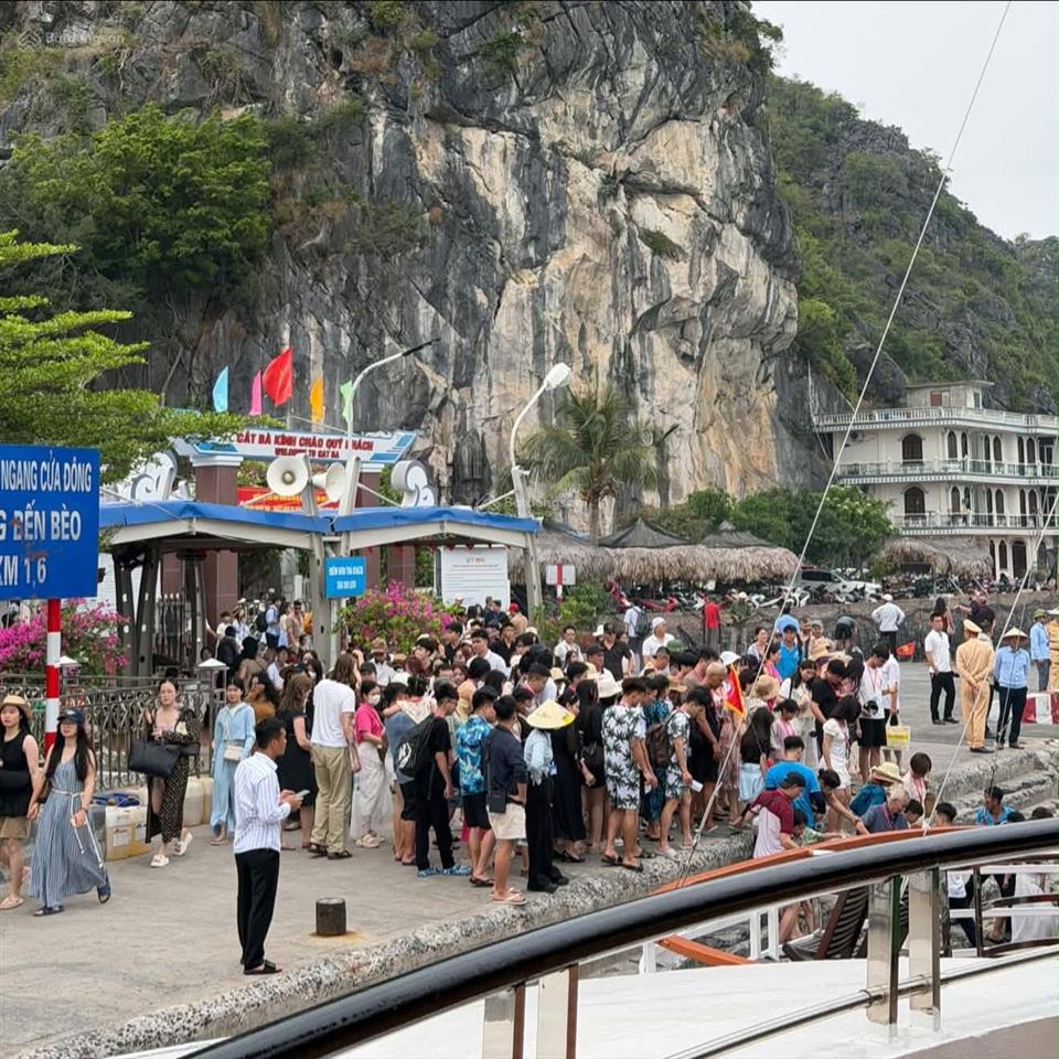 Siêu phẩm view trực diện vịnh lan hạ, đảo cát bà, lô đất siêu hiếm