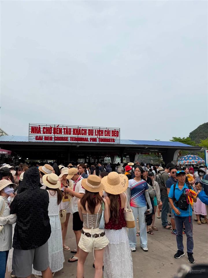 Siêu phẩm view trực diện vịnh lan hạ, đảo cát bà, lô đất siêu hiếm