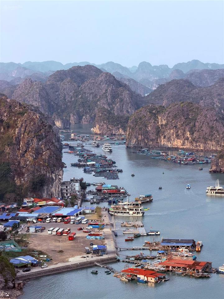 Siêu phẩm view trực diện vịnh lan hạ, đảo cát bà, lô đất siêu hiếm