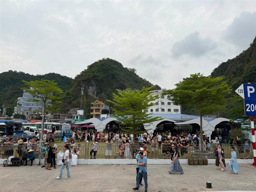 Siêu phẩm view trực diện vịnh lan hạ, đảo cát bà, lô đất siêu hiếm