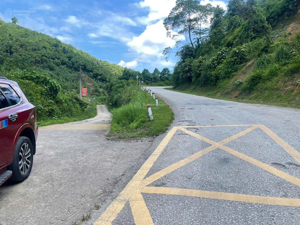 Chính chủ bán gấp trang trại giá tốt tại trung tâm xã phú nhuận, ngay đầu ngã bà đi bảo thắng