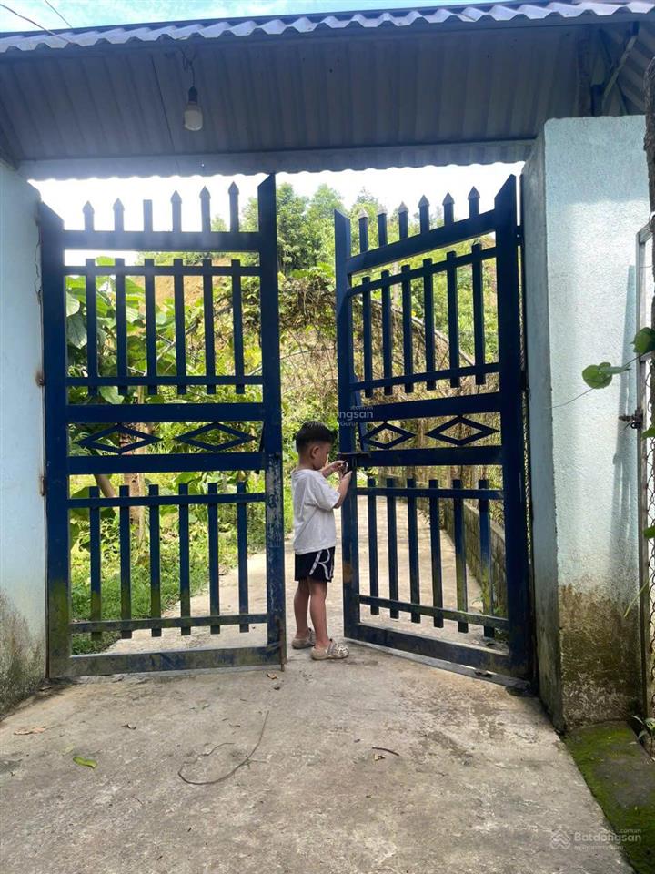 Chính chủ bán gấp trang trại giá tốt tại trung tâm xã phú nhuận, ngay đầu ngã bà đi bảo thắng