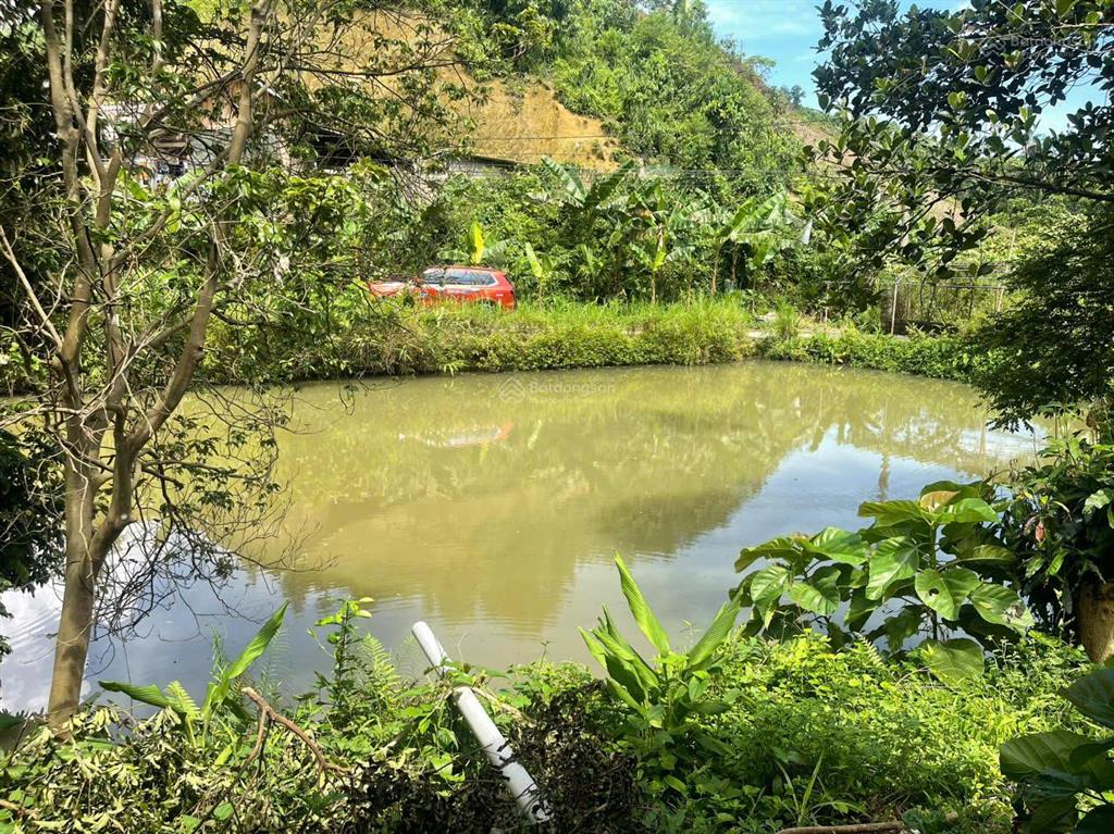 Chính chủ bán gấp trang trại giá tốt tại trung tâm xã phú nhuận, ngay đầu ngã bà đi bảo thắng