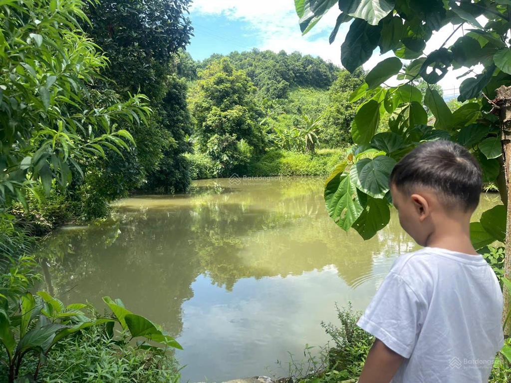 Chính chủ bán gấp trang trại giá tốt tại trung tâm xã phú nhuận, ngay đầu ngã bà đi bảo thắng