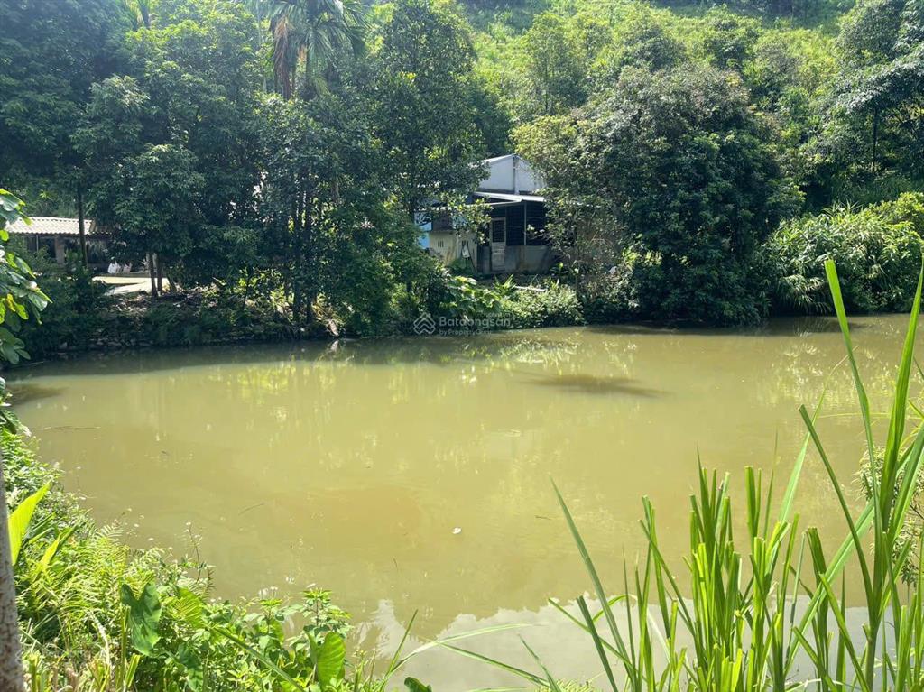 Chính chủ bán gấp trang trại giá tốt tại trung tâm xã phú nhuận, ngay đầu ngã bà đi bảo thắng
