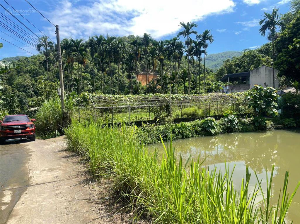 Chính chủ bán gấp trang trại giá tốt tại trung tâm xã phú nhuận, ngay đầu ngã bà đi bảo thắng