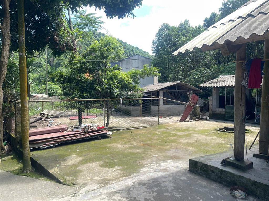 Chính chủ bán gấp trang trại giá tốt tại trung tâm xã phú nhuận, ngay đầu ngã bà đi bảo thắng
