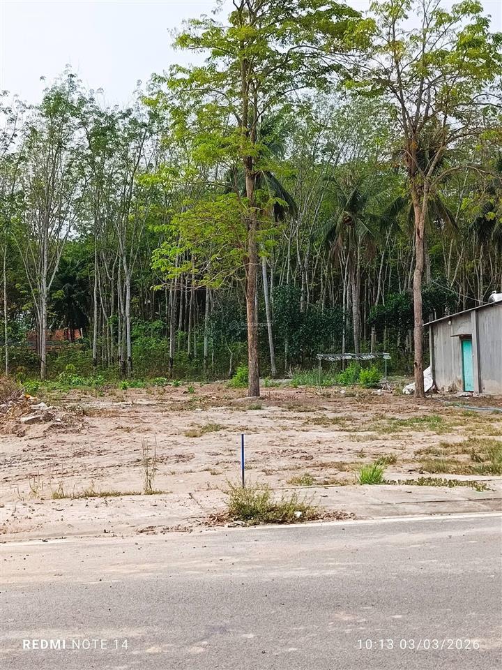 Đất sẵn thổ cư cách tthc chơn thành chỉ 2km, dt 520m2, mặt tiền 10m, từ đường lê duẩn vào 100m, shr