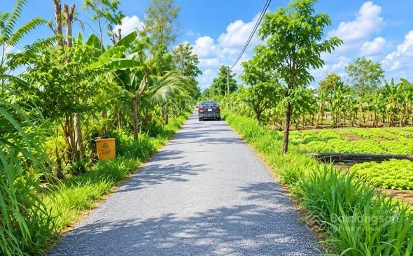 Gấp 2.300m2 giá rẻ phường sơn qui, tp gò công, cách hcm 45km, chủ kẹt bank thương lượng mạnh