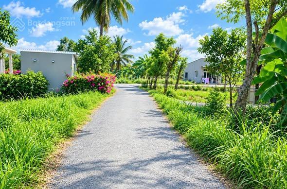 Gấp 2.300m2 giá rẻ phường sơn qui, tp gò công, cách hcm 45km, chủ kẹt bank thương lượng mạnh