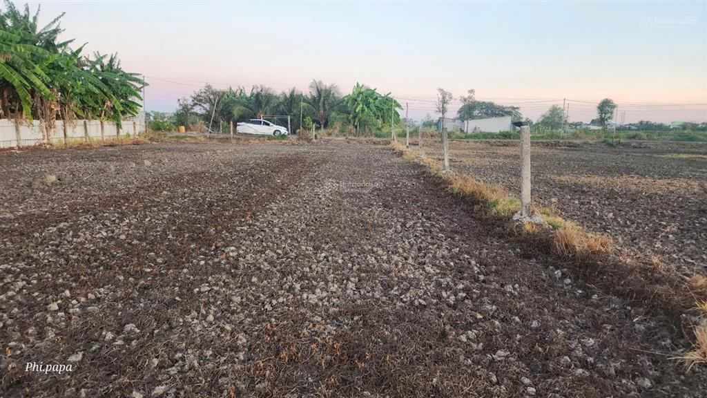 Đất thổ cư 2.400m2 sát ql50, giá gấp chỉ 3 triệu/m2, cơ hội hiếm sở hữu