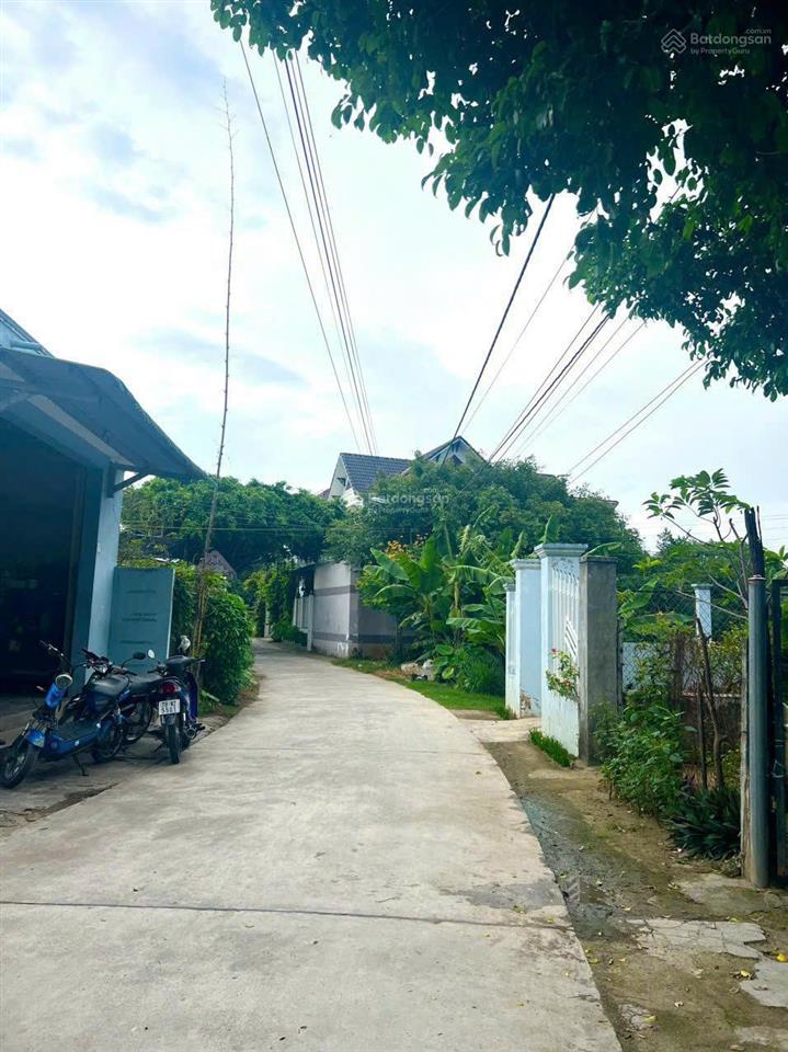 Bán nhà cấp 4, 123m2. gần vòng xoay đường 2/4 và đ. nguyễn thị ngọc oanh, ninh hòa, khánh hòa