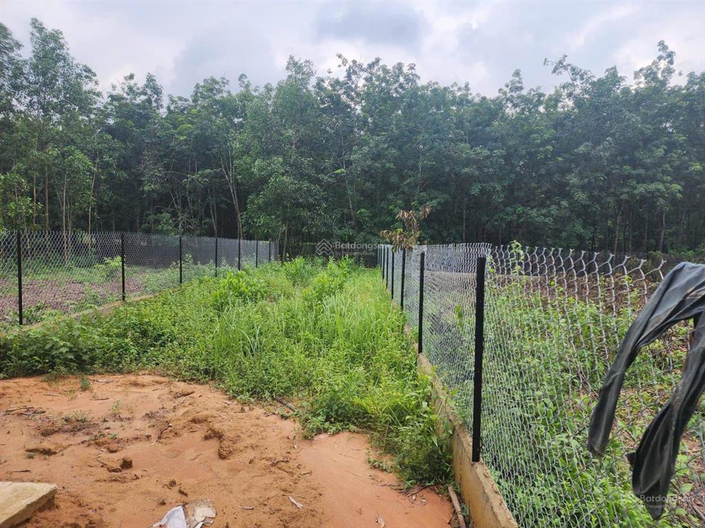 Bình dương cho thuê nhà mới xây kèm khu đất rộng 1.500m²