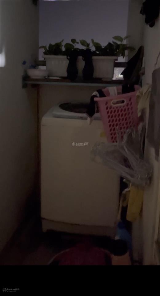 Cho thuê căn hộ chung cư hoàng quân đường nguyễn văn linh phường bình đông tphcm