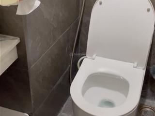 Cho thuê căn hộ chung cư hoàng quân đường nguyễn văn linh phường bình đông tphcm