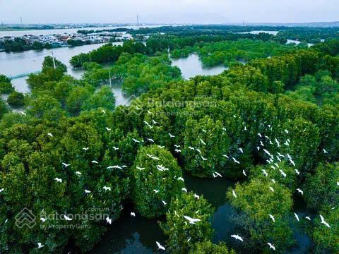 Đất đường đsa8 đẹp nhất, công viên và đường lớn xuống, nhơn hội, quy nhơn, bình định, ( gia lai )