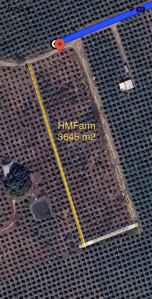 Cần bán lô đất nn, diện tích 3645m2 xã hàm kiệm, đất trong cây lâu năm có thể kết hợp dv du lịch