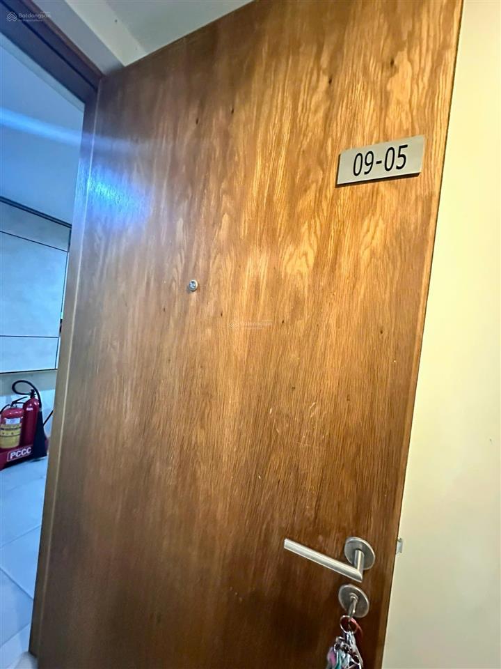 Bán canary home đang cho thuê 8 triệu