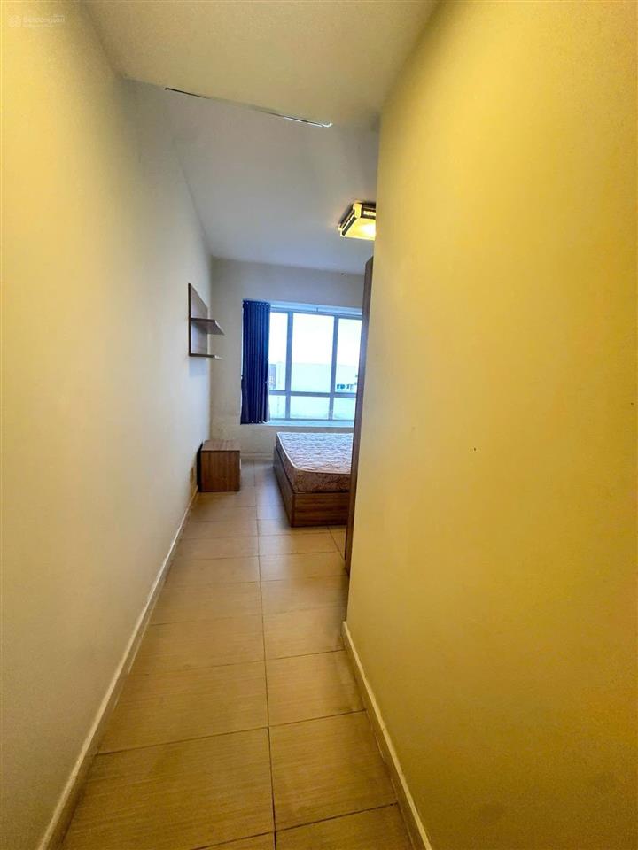 Bán canary home đang cho thuê 8 triệu