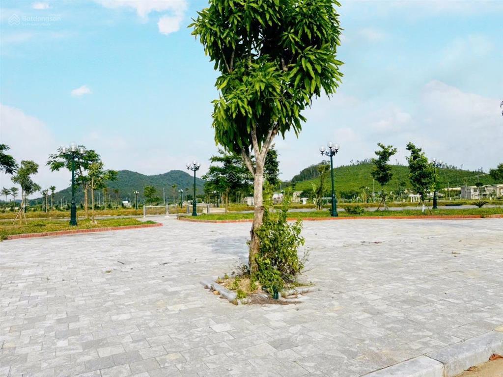 Chính chủ cần bán lô đầu ve lk15 mặt đường thống nhất mb520, r.thông, đông sơn, thanh hoá