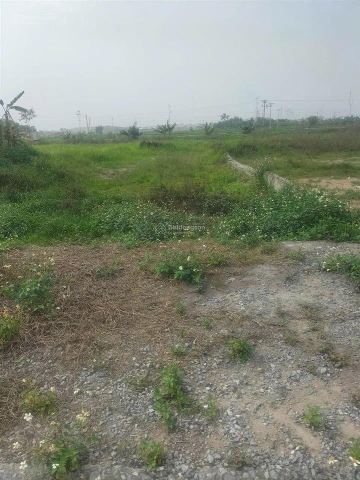 Chur gửi bán lô lk233 95m dãn dân xd mới hướng nam mát mẻ giá 4 tỷ.100